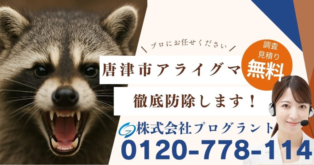 唐津市アライグマ防除はプログラントへ